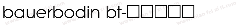 bauerbodin bt字体转换